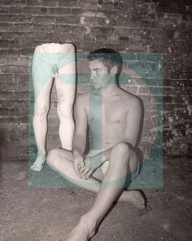07.backyard-moulting_1997